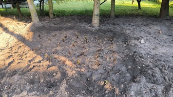 2023-05-12 18-28-19